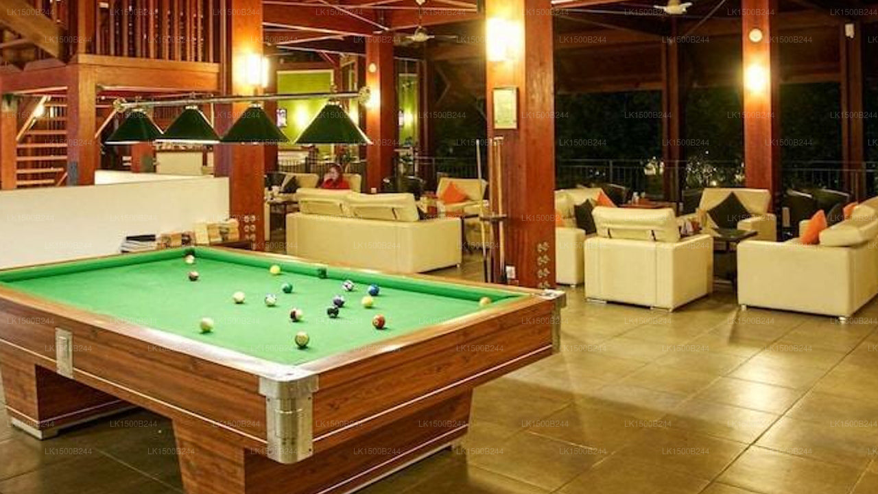 Западный рай, Дамбулла