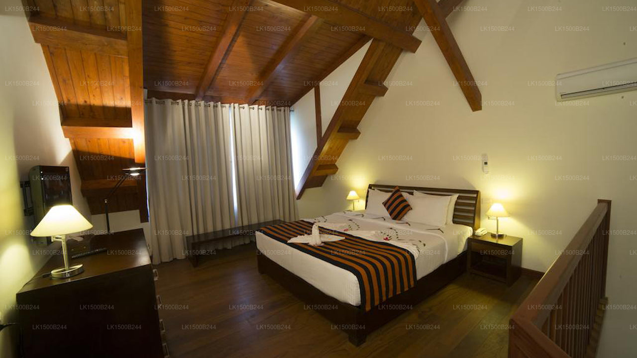 Западный рай, Дамбулла