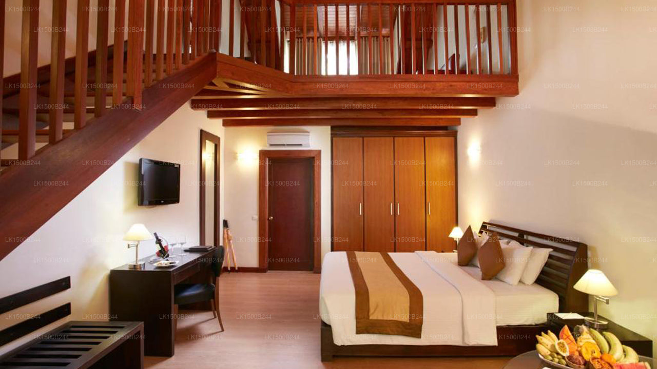 Западный рай, Дамбулла