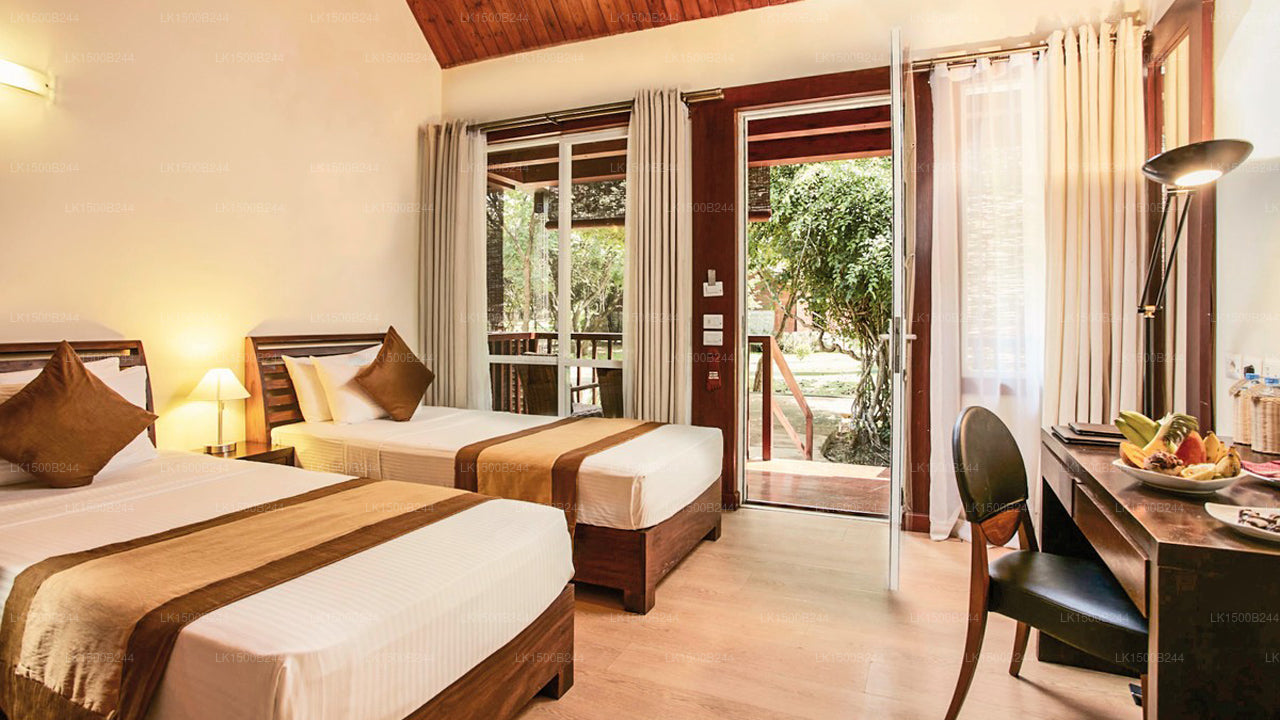 Западный рай, Дамбулла