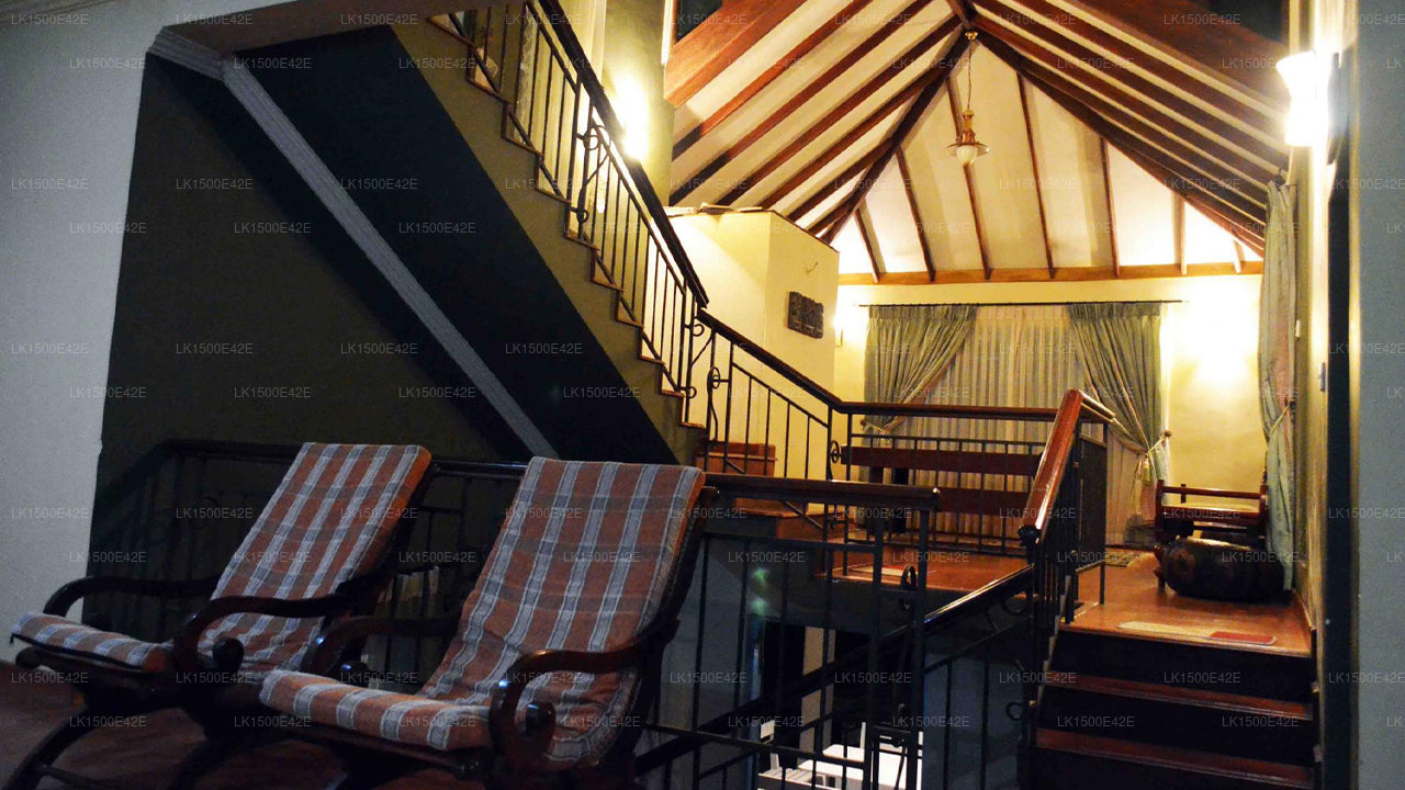 Элла Хиллкрест