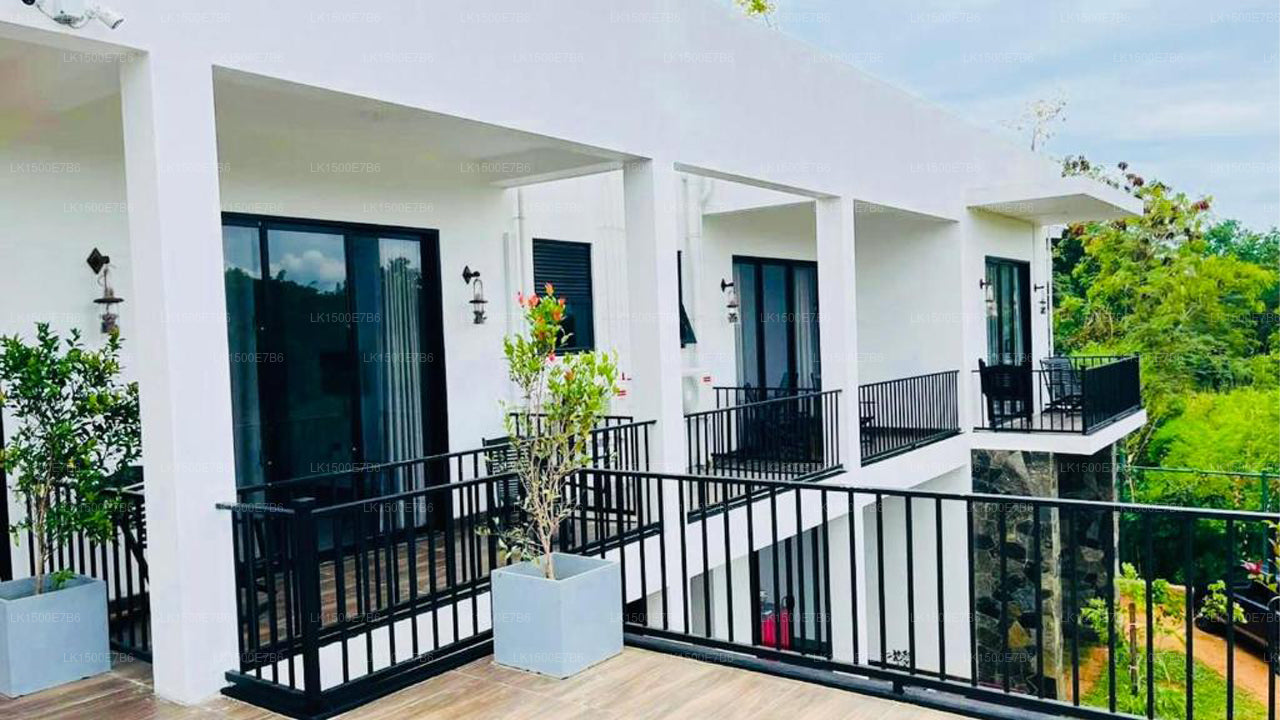 Отель «Черный Мустанг», Дамбулла