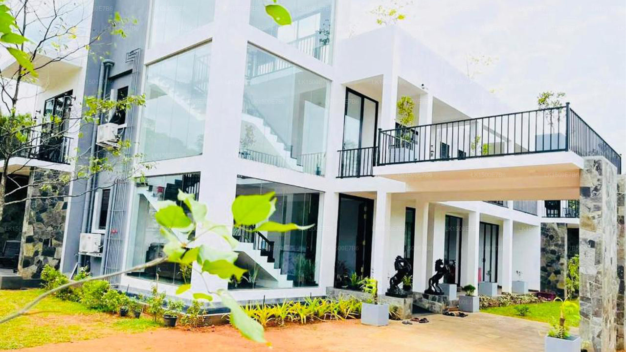 Отель «Черный Мустанг», Дамбулла