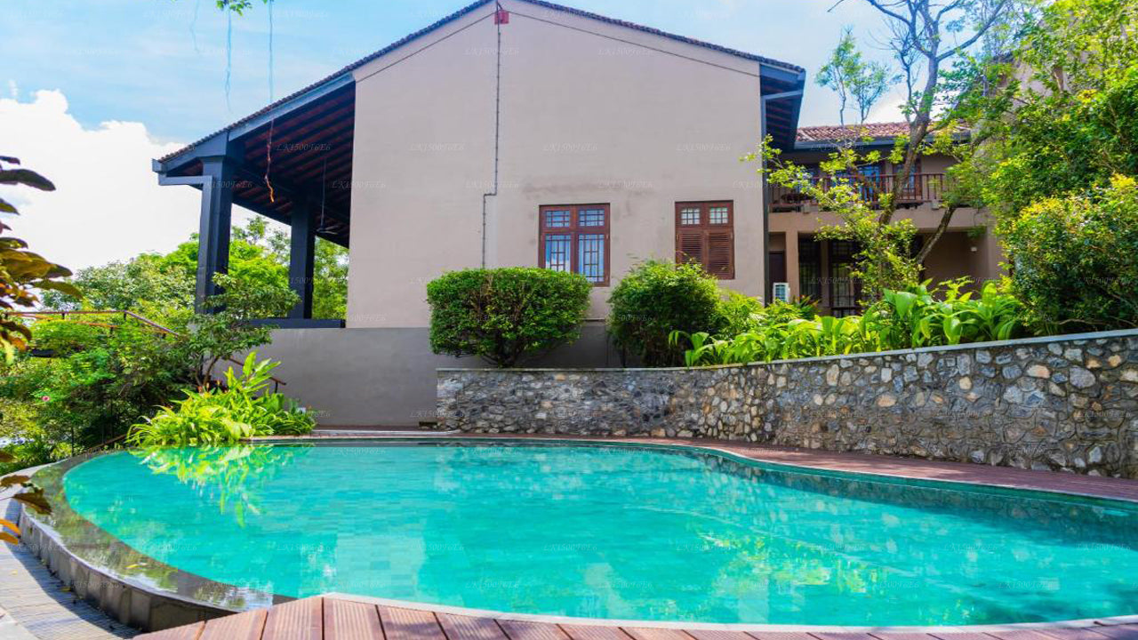 Лили Под, панадура