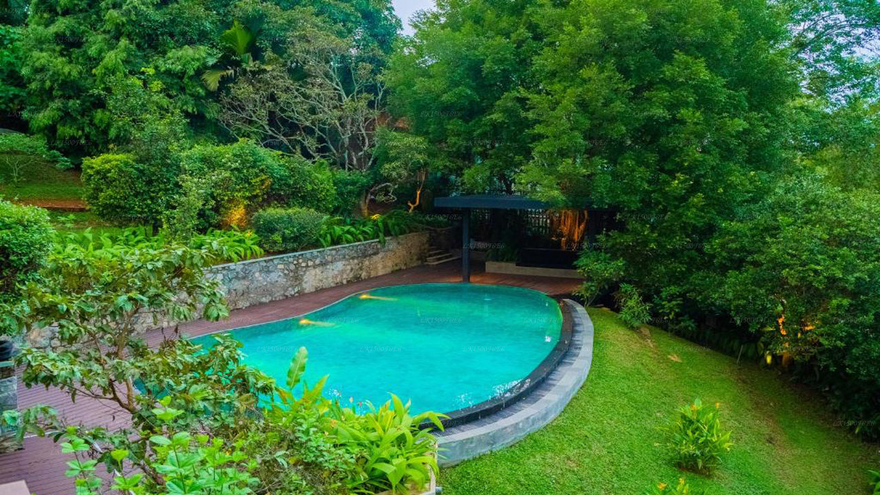 Лили Под, панадура