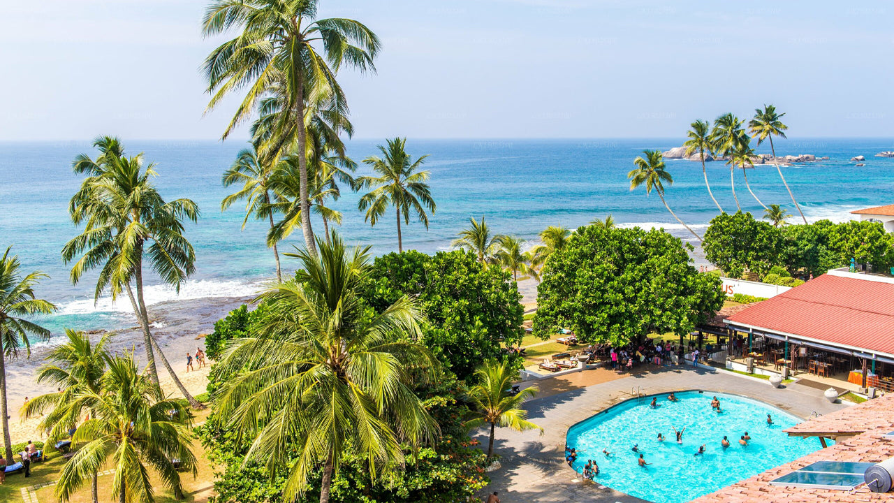 Цитрусовая Хиккадува, Хиккадува