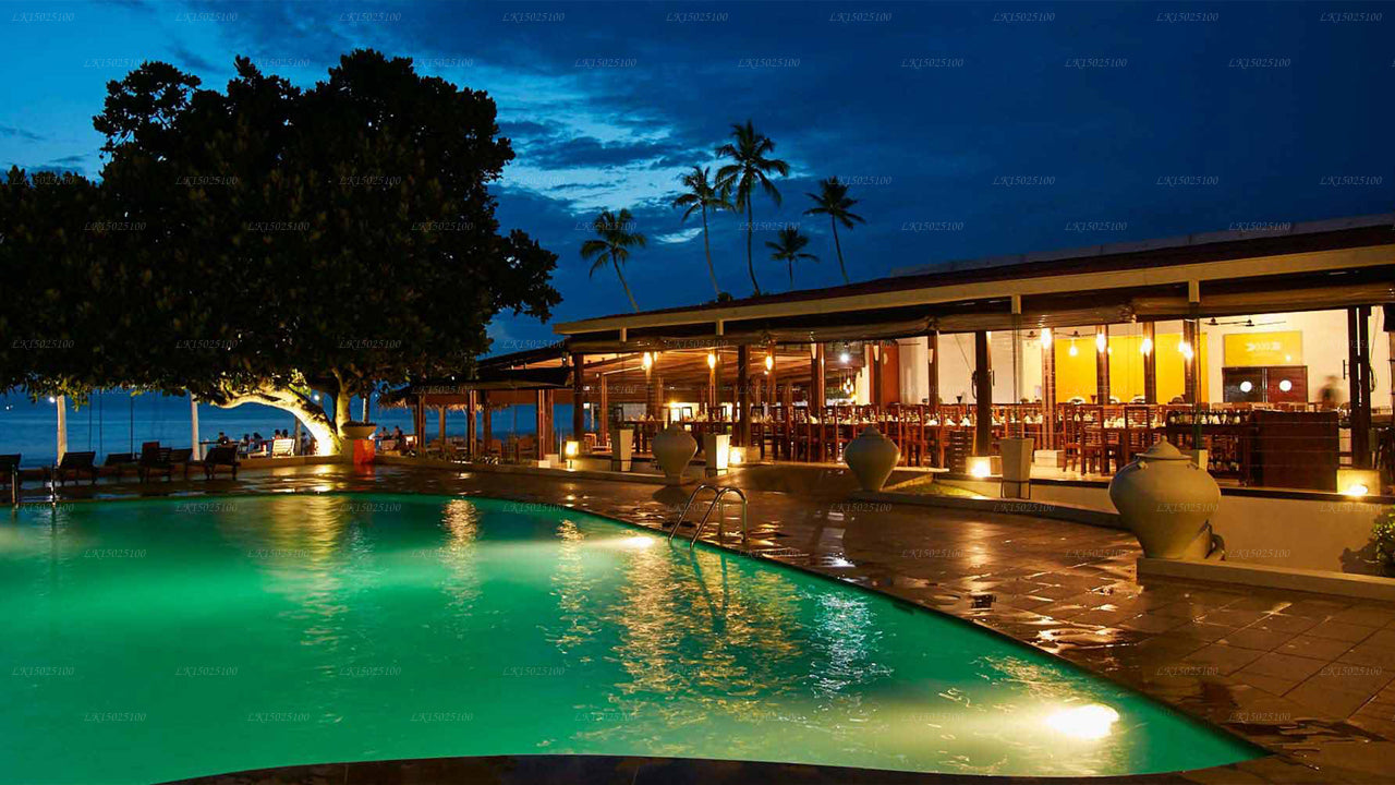 Цитрусовая Хиккадува, Хиккадува