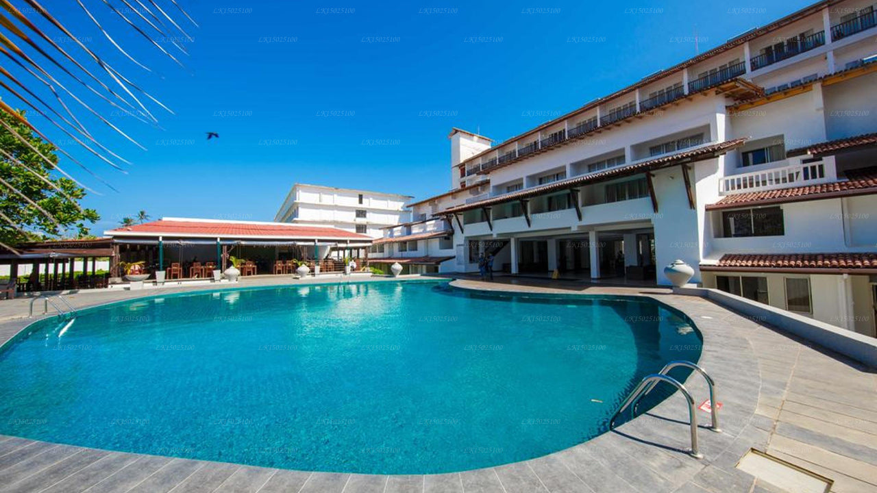 Цитрусовая Хиккадува, Хиккадува