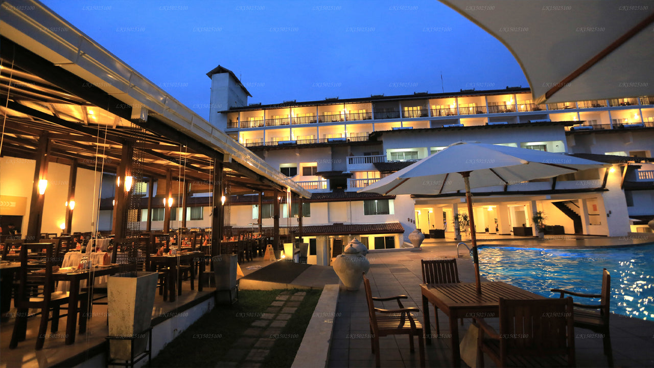 Цитрусовая Хиккадува, Хиккадува