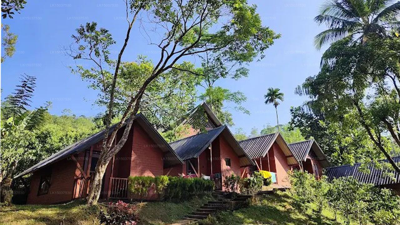 Cinnamon Valley Bungalow, Sinharaja