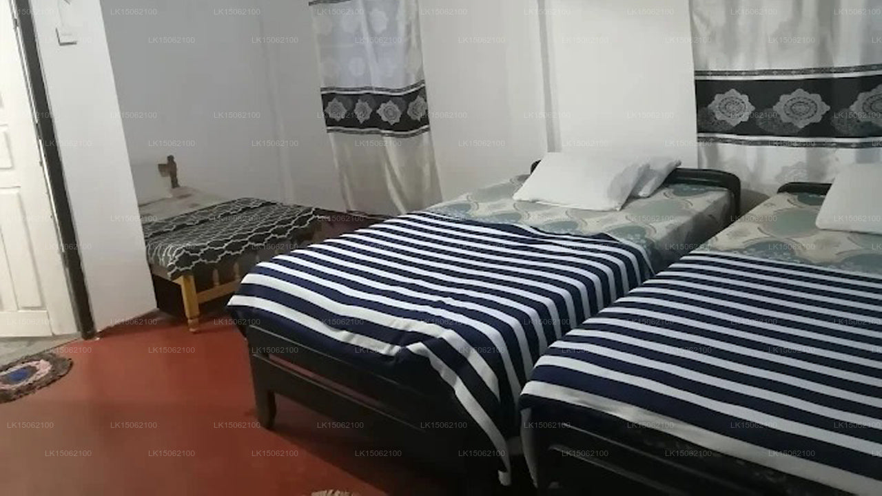 White Monkey - Dias Rest, Haputale