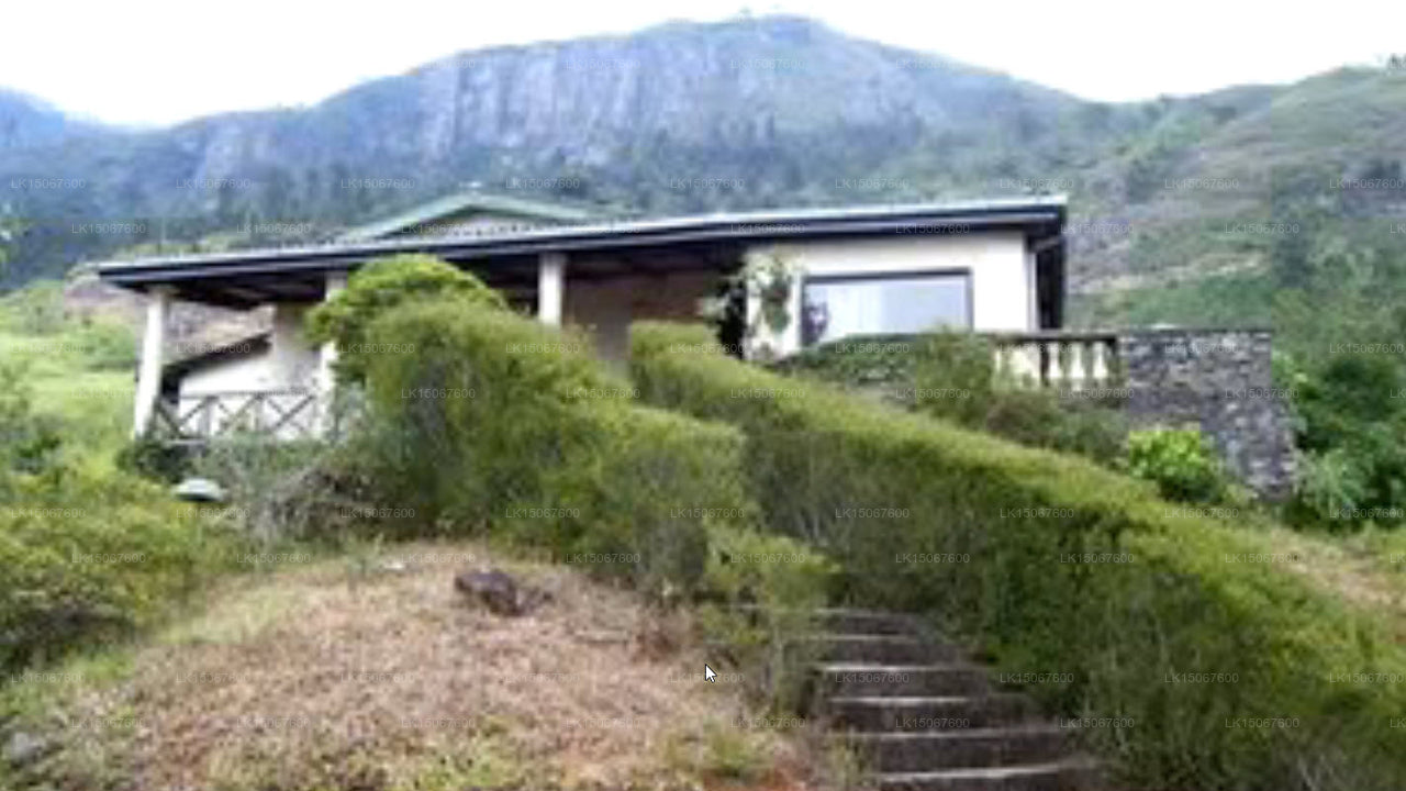 Хадхакалава, Хапутале