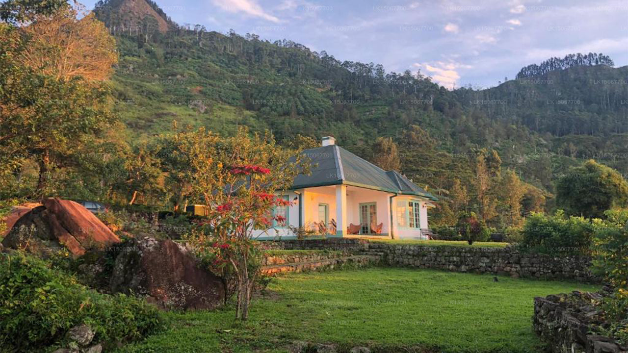 Михидум Пияса, Халдуммулла