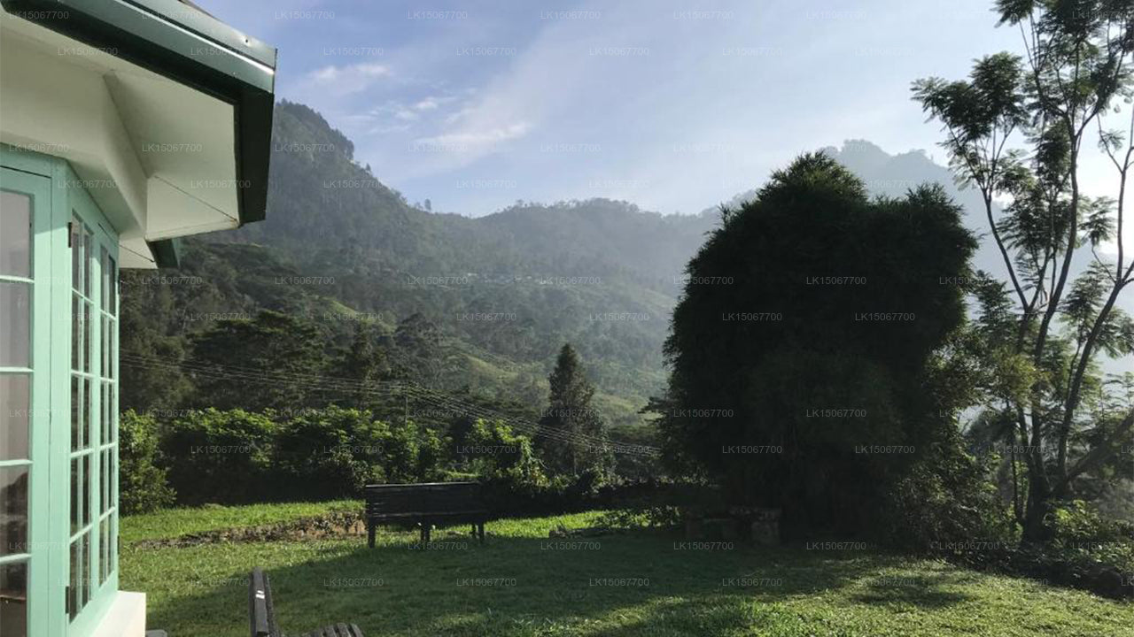 Михидум Пияса, Халдуммулла