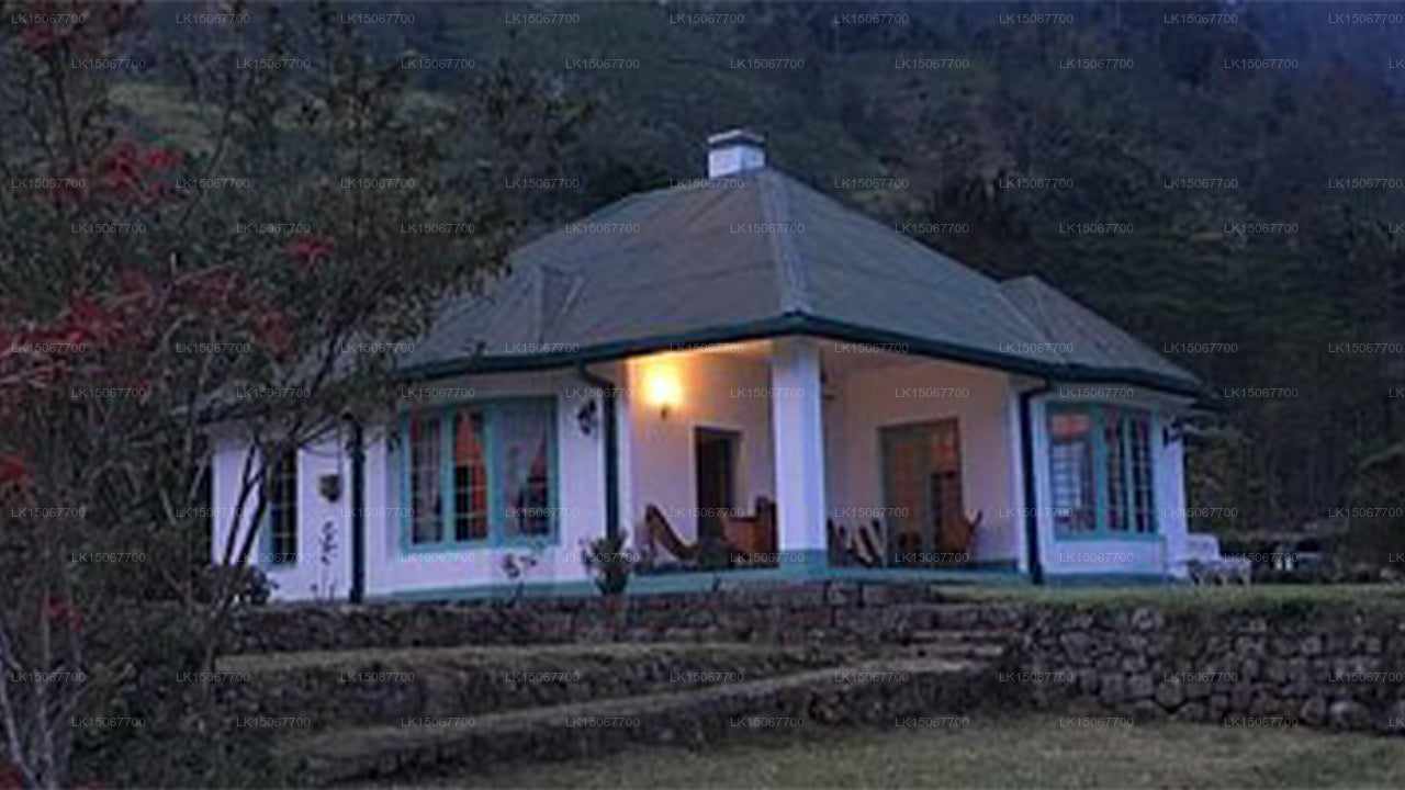 Михидум Пияса, Халдуммулла