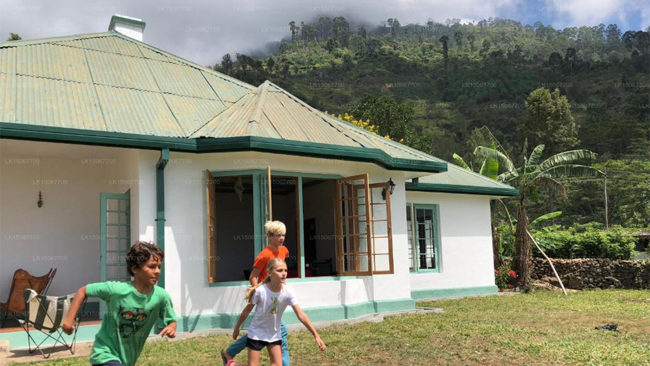 Михидум Пияса, Халдуммулла