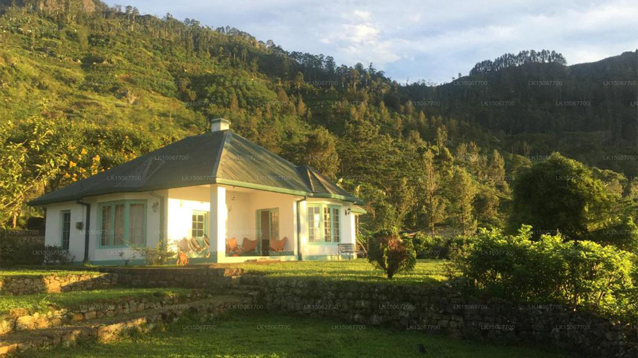 Михидум Пияса, Халдуммулла