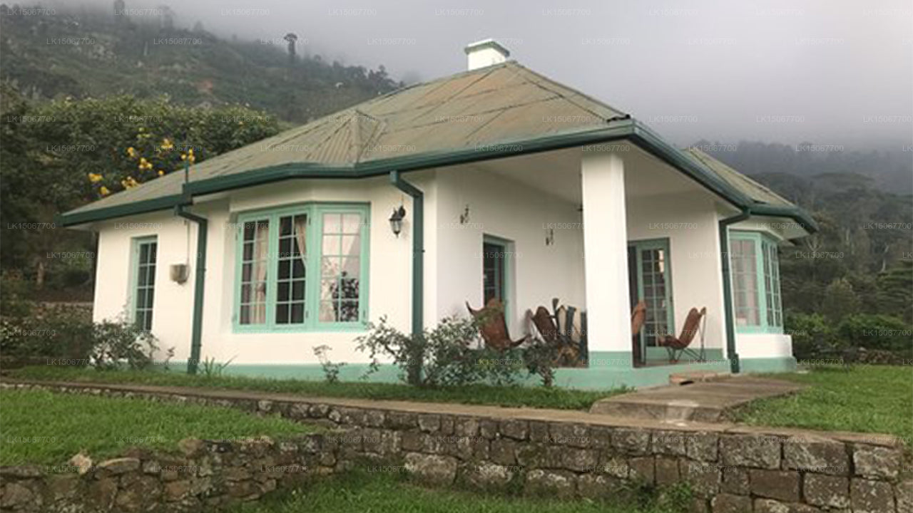 Михидум Пияса, Халдуммулла