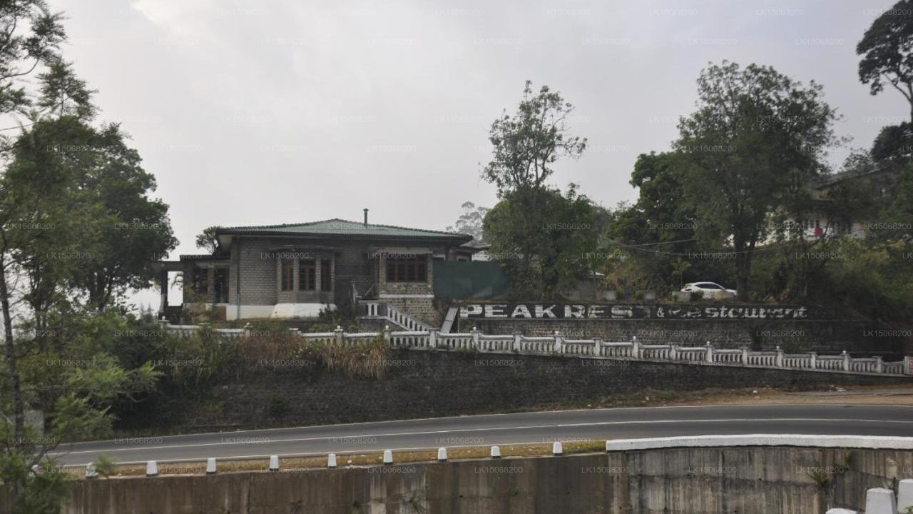 Отель «Пикрест», Хаттон