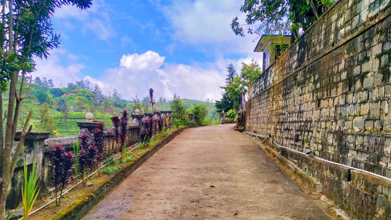 Отель «Пикрест», Хаттон