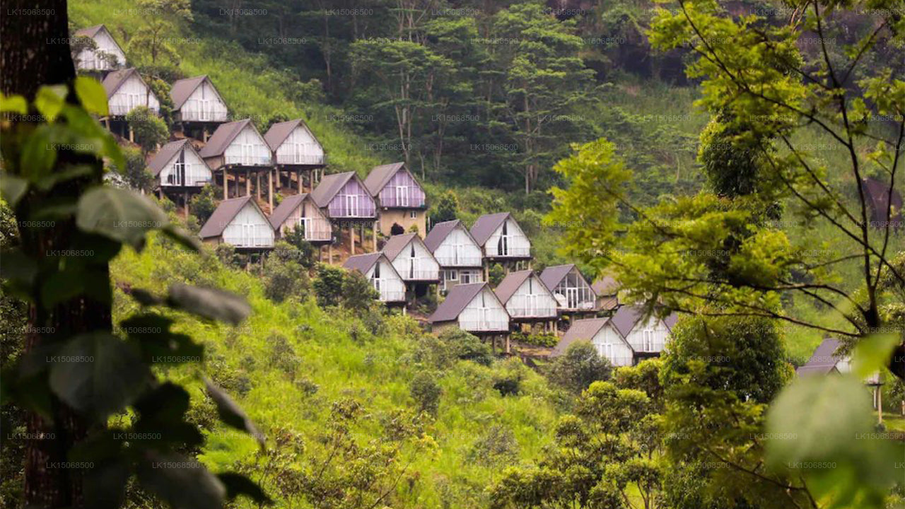 Waterfalls Cottage Dunsinane, Nuwara Eliya