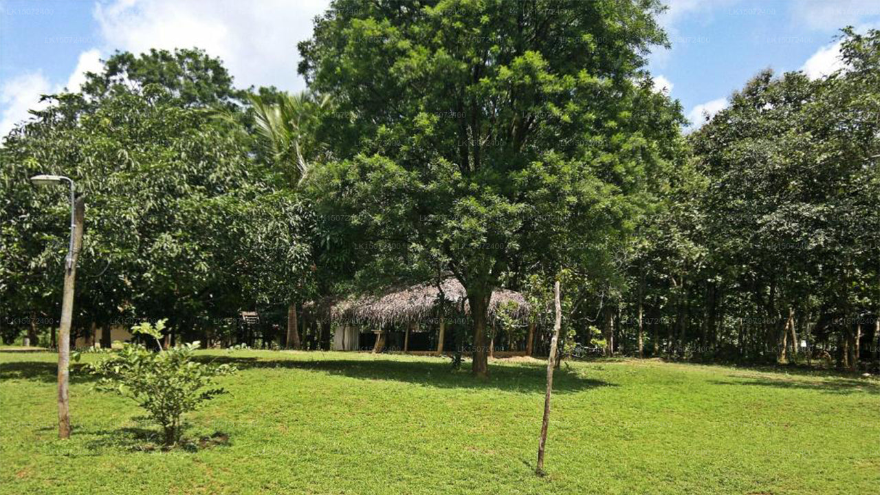 Гостевой дом «Крылья орла», Хабарана