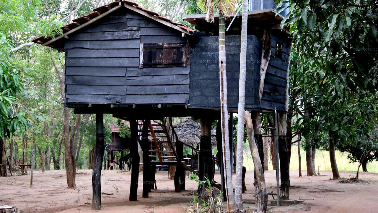 Гостевой дом «Крылья орла», Хабарана