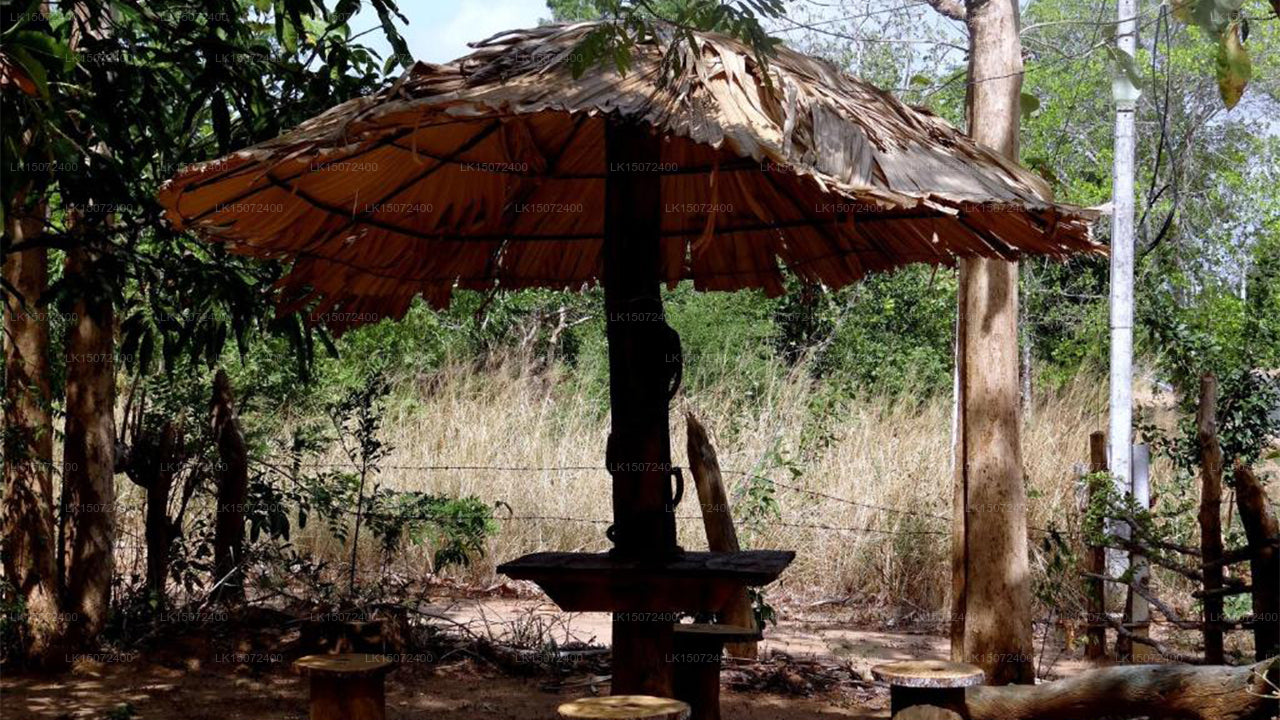 Гостевой дом «Крылья орла», Хабарана