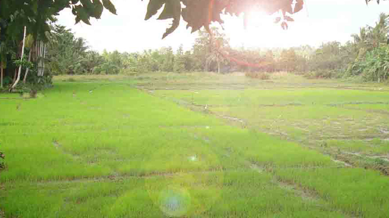 Chamo Villa's, Ambalangoda