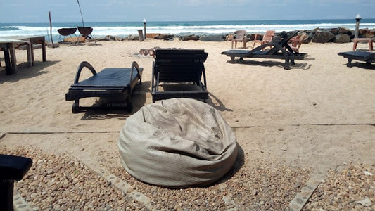 Shaka Sign Surf, Mirissa