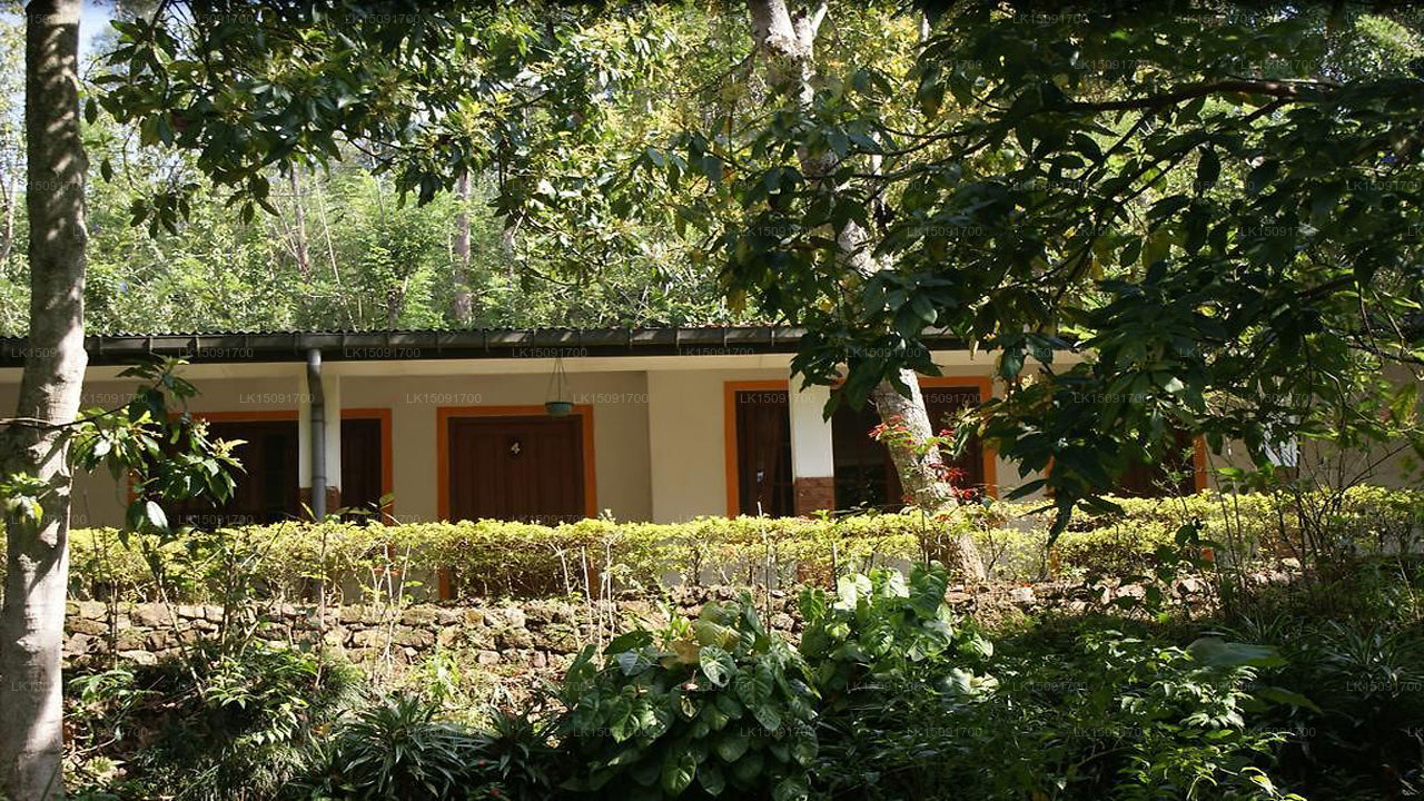 Dell Holiday Home, Bandarawela