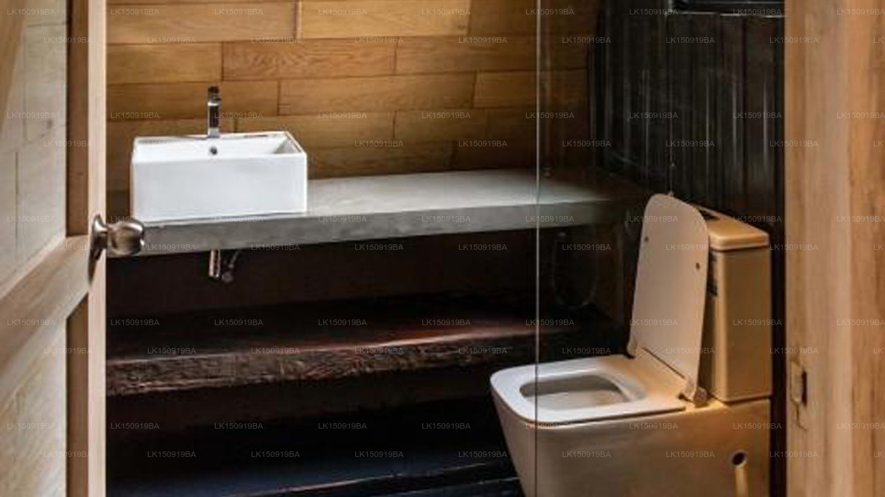 Wild Bee Hostel, Ella