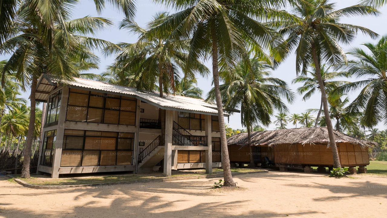 Diyamba, Kalpitiya