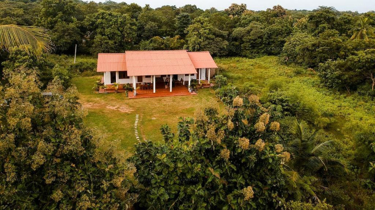 Ruins Villa, Polonnaruwa