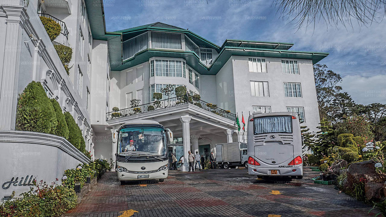 Madusha Rest, Hatton