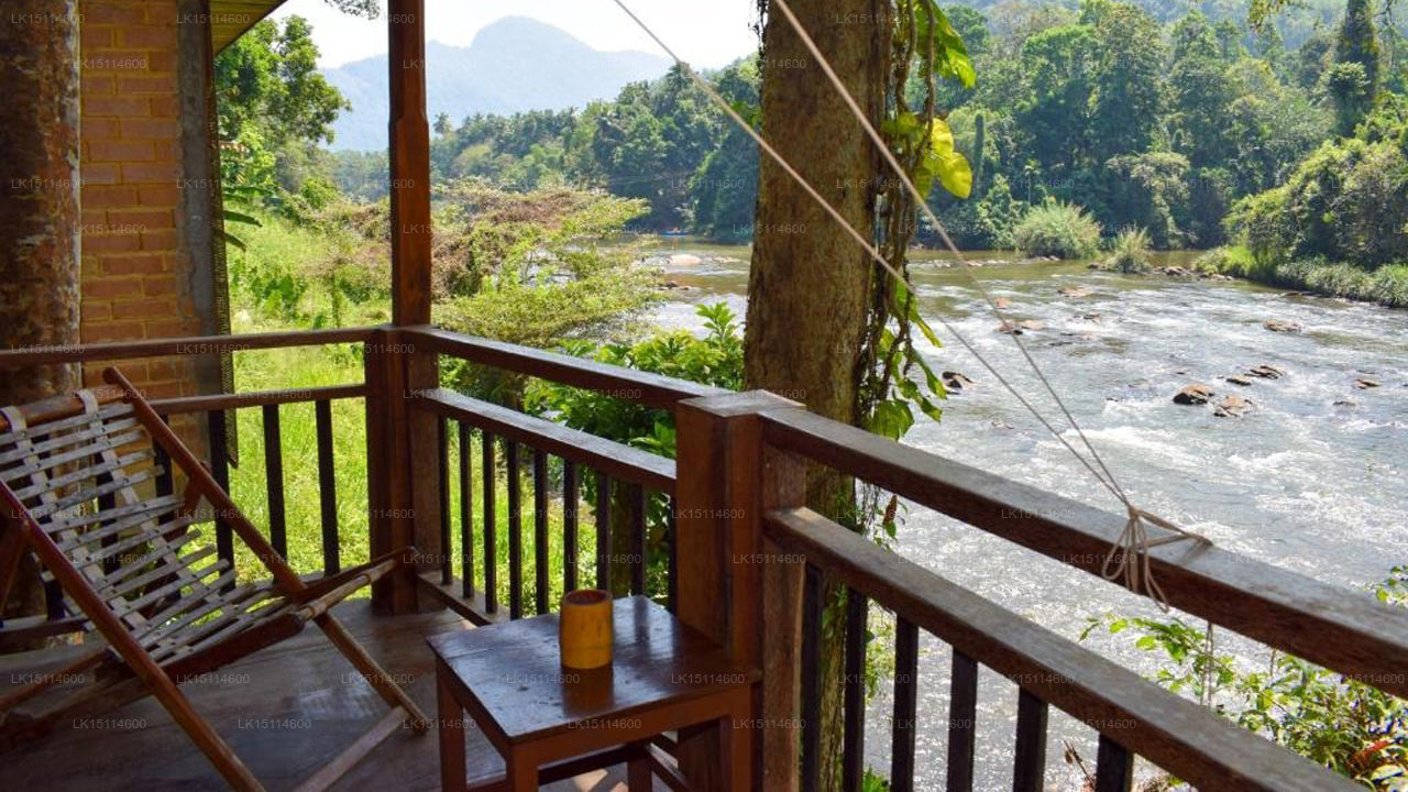 Rafters Retreat, Kitulgala