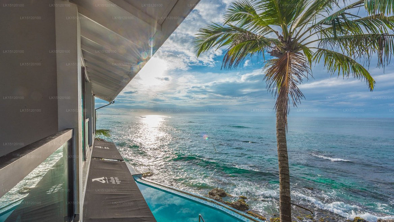 Cantaloupe Aqua, Thalpe