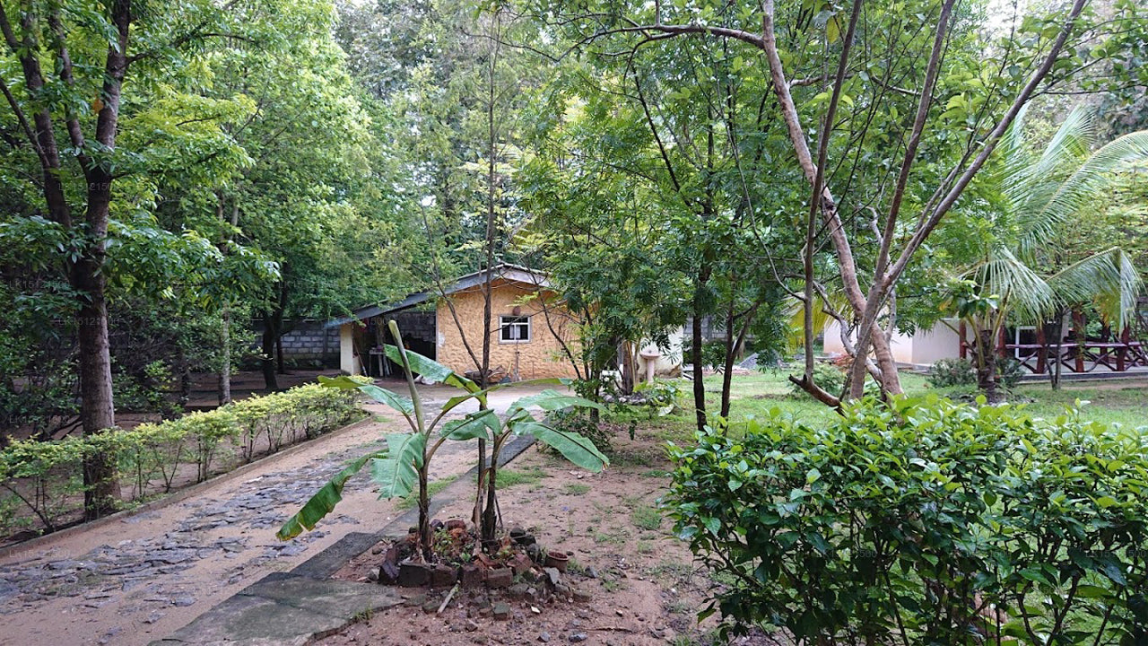 Ashane Holiday Bungalow, Wasgamuwa