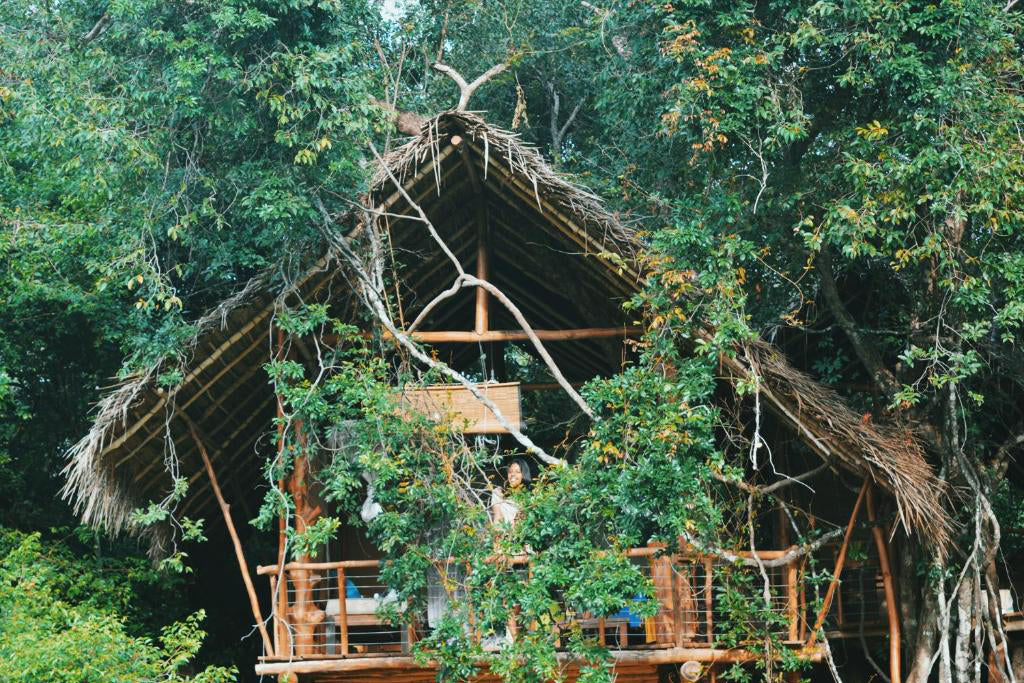 Back of Beyond: «Дикая гавань», «Дехигаха Эла», «Сигирия»