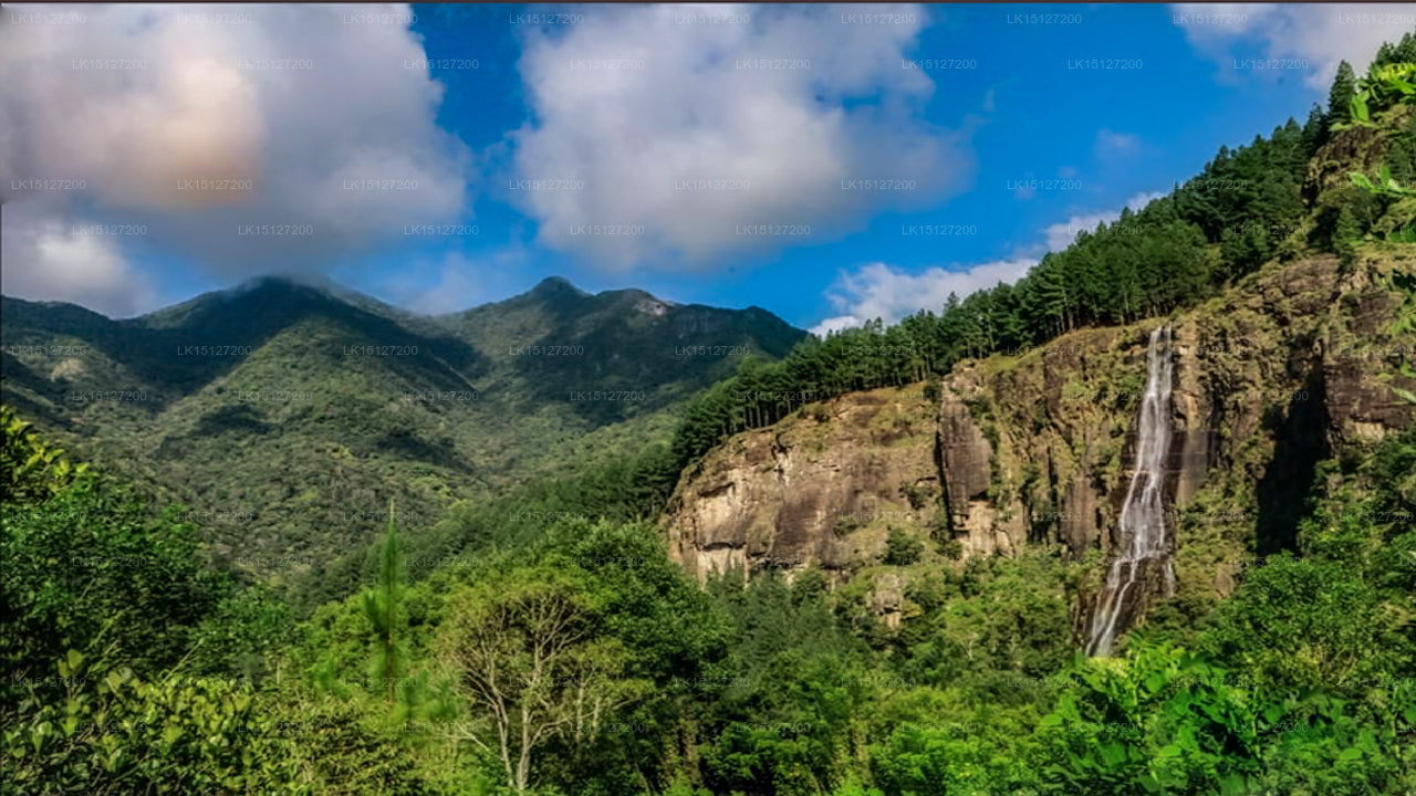 Bambarakanda Eco Holiday Resort, Haputale