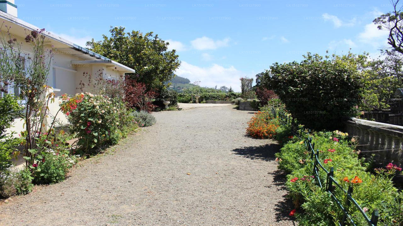 Colonial Holiday Bungalow Senani, Nuwara Eliya