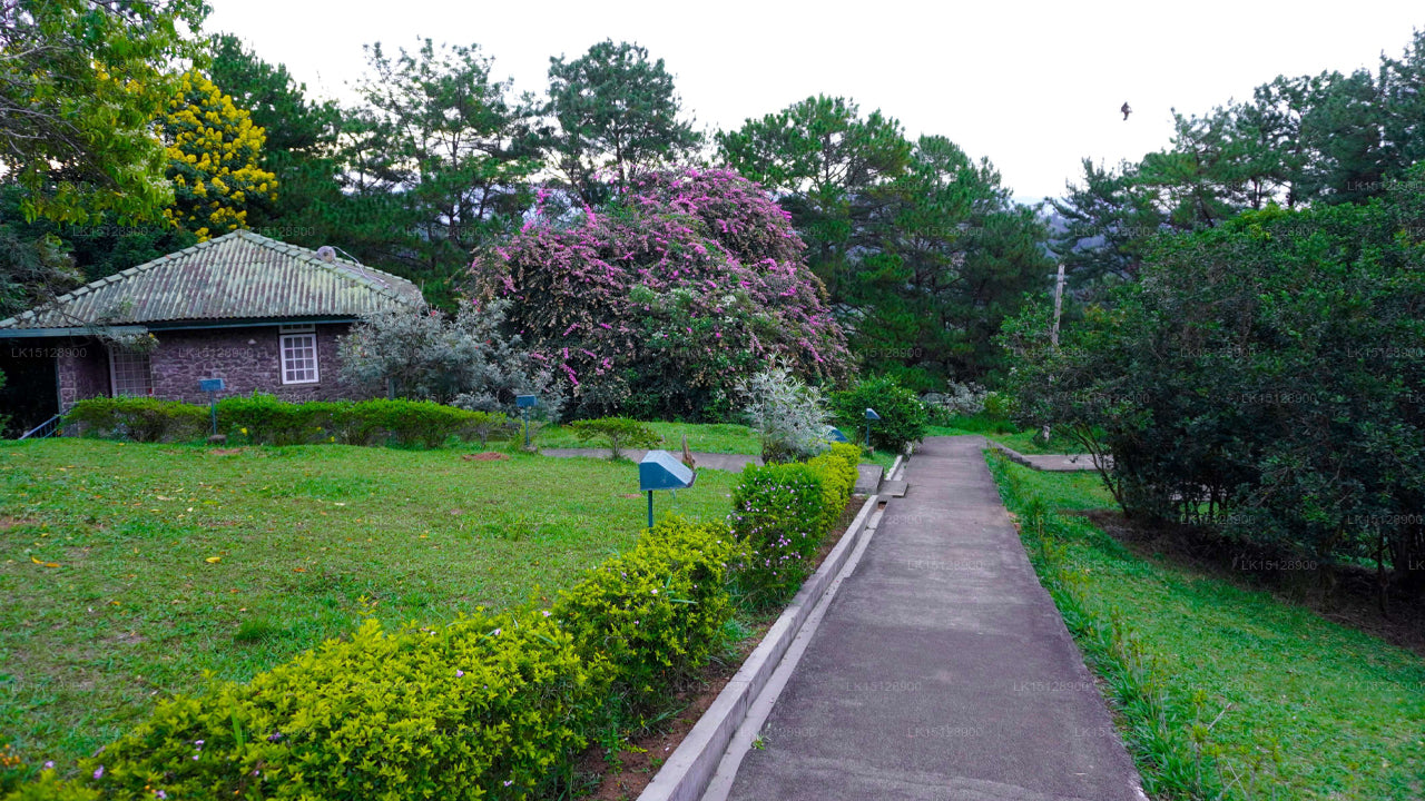 National Holiday Resort - Bandarawela