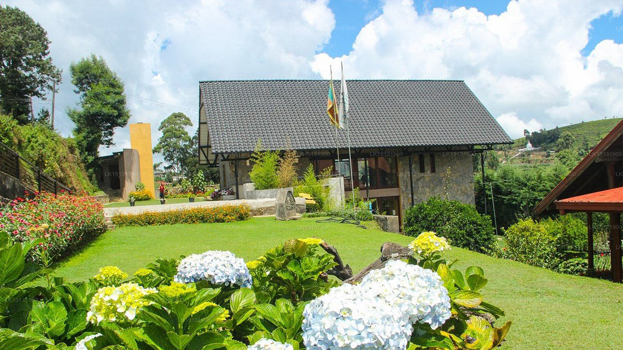 Oasis Bungalow, Nuwara Eliya