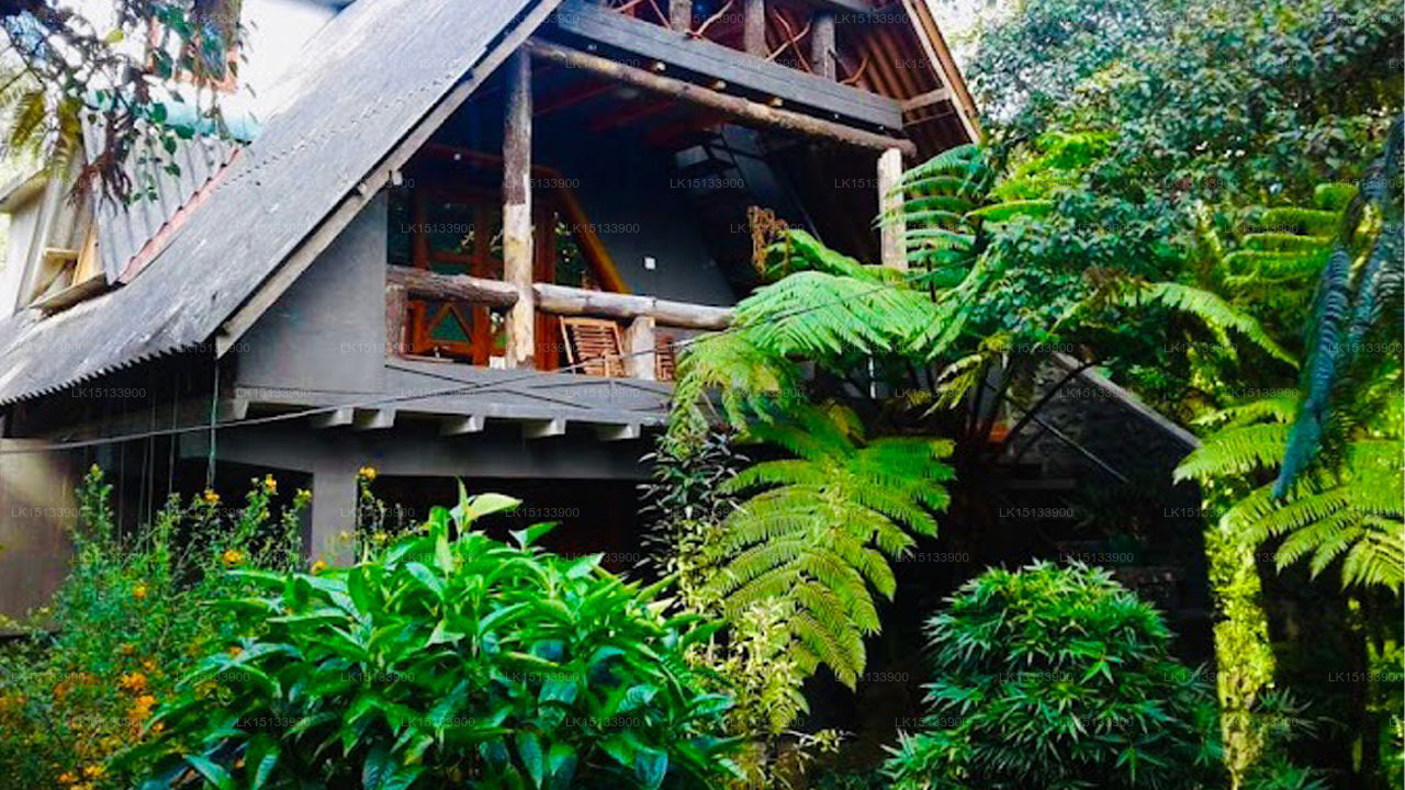 King Fern Bungalow, Nuwara eliya