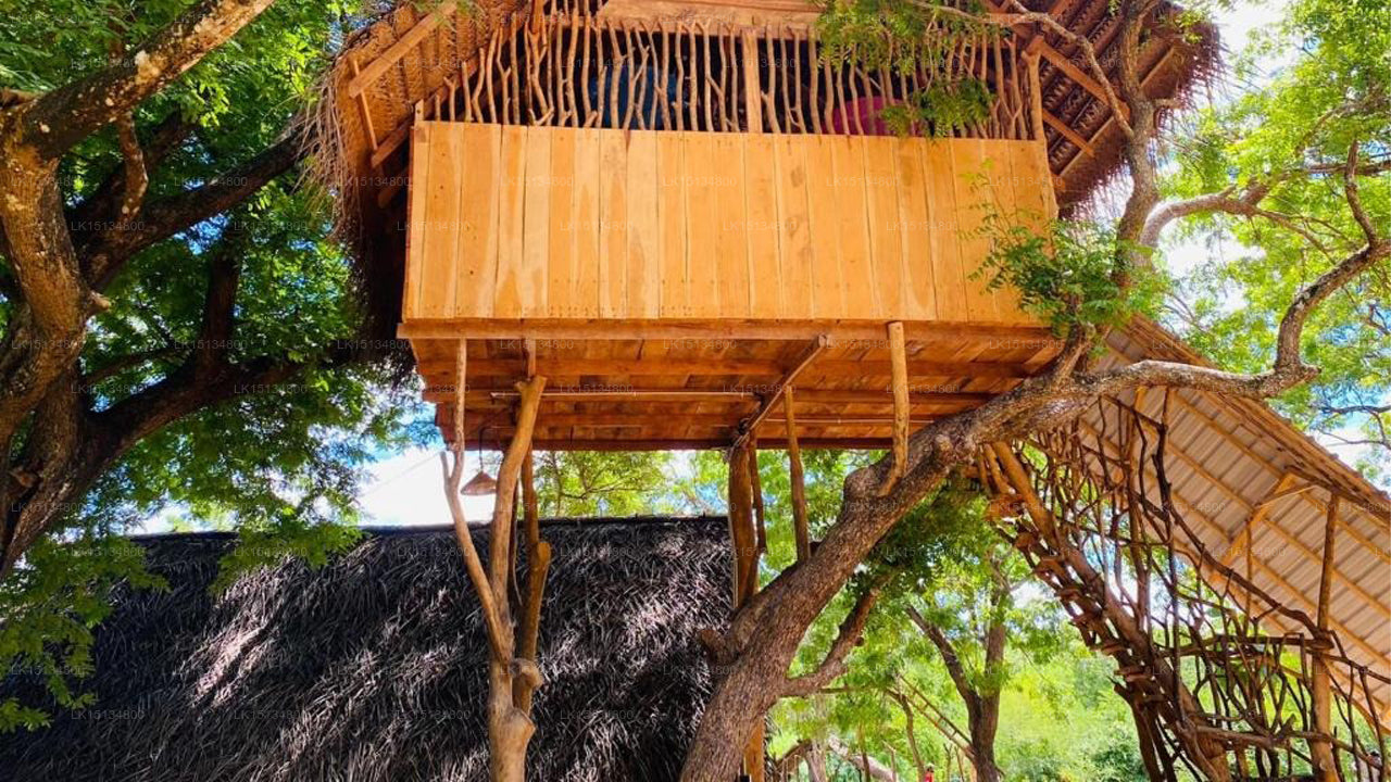 Eco Tree House, Tangalle
