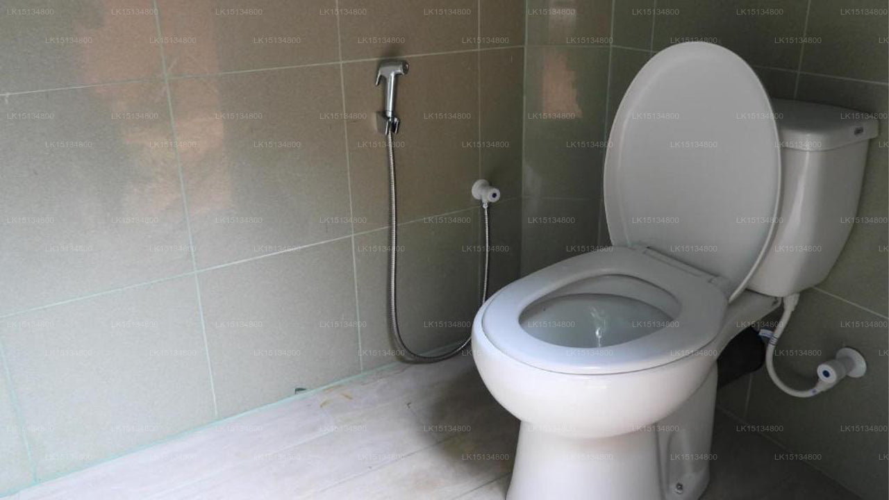 Eco Tree House, Tangalle