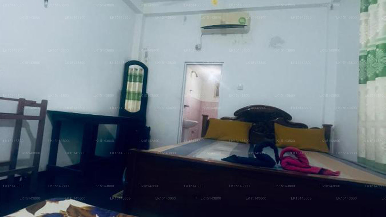 Lavender Lyrics Guest