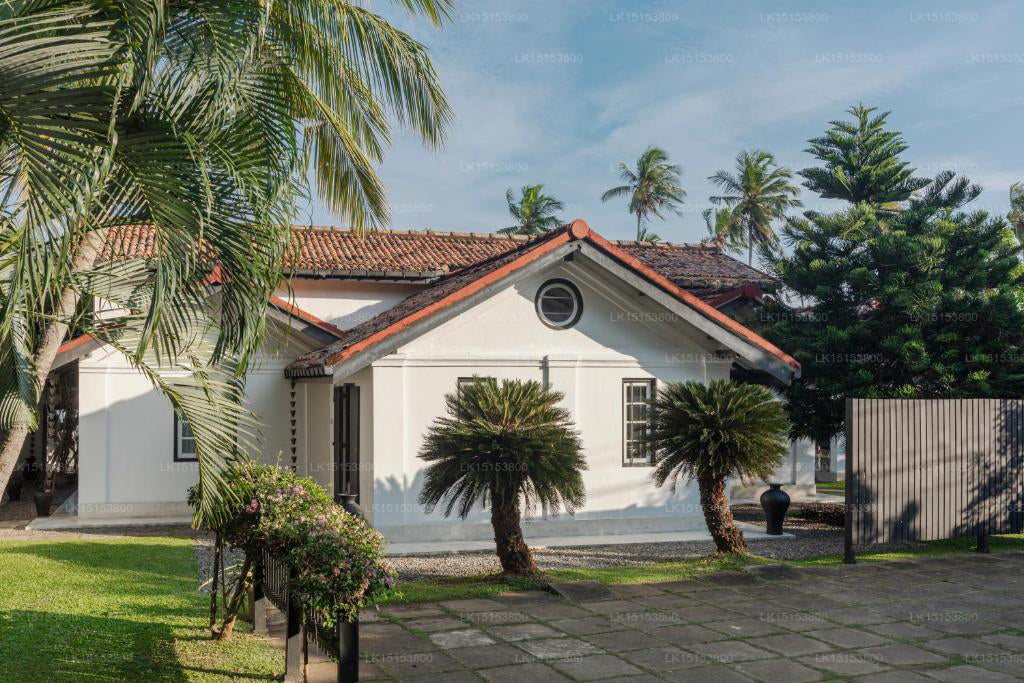 Коко Тангалла, Тангалла