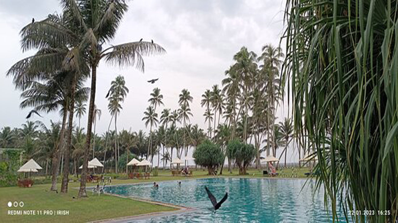 Дикие пески, Ваддува