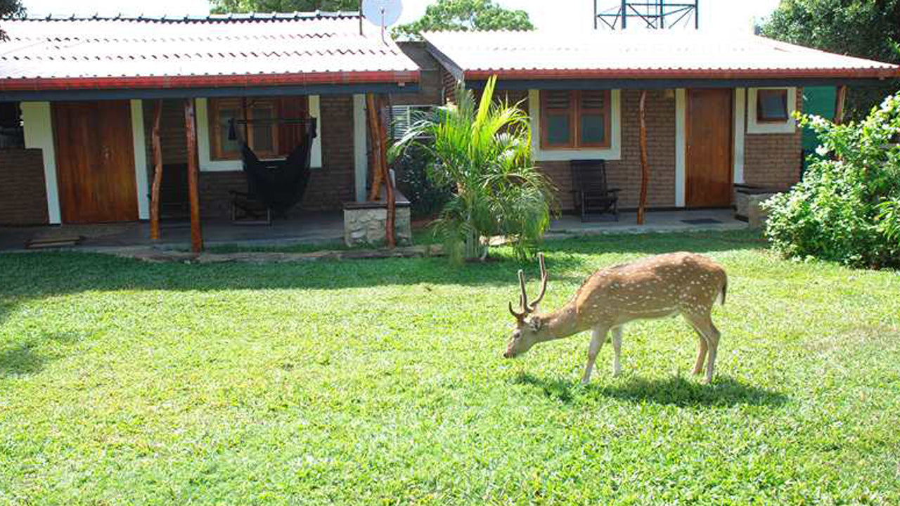 Bandagiri Village Eco Resort, Hambantota
